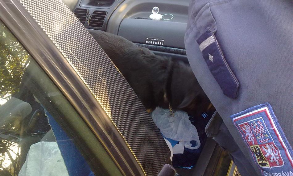 2011-10-6-1057111004_leky_OPL (5).jpg